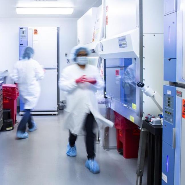 A laboratory at UCLA's current good manufacturing practices facility | Photo credit: Elena Zhukova