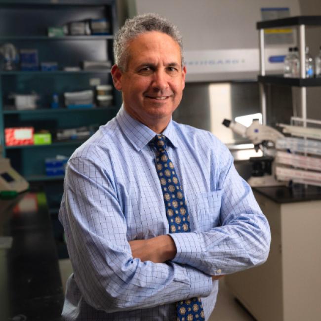 Researcher Michael Teitell smiles with crossed arms.