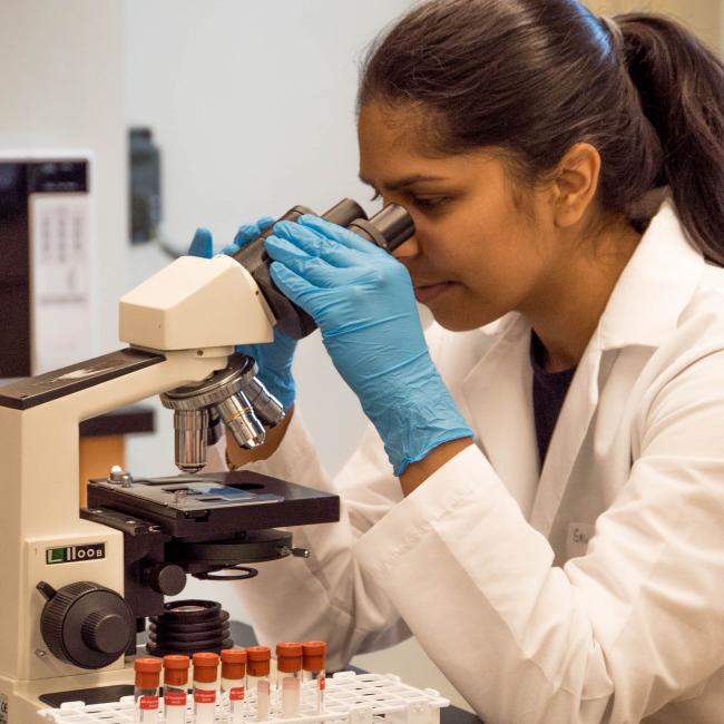 Person looking through microscope