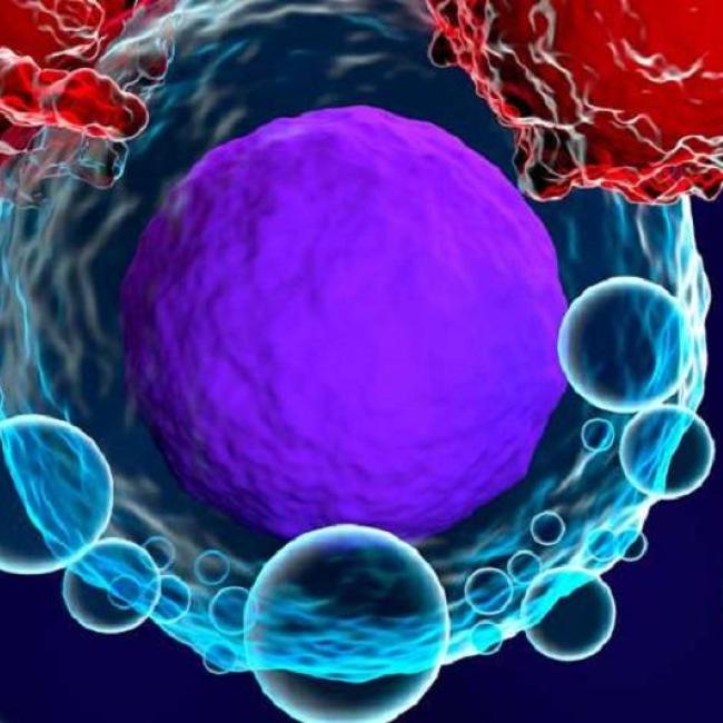 Graphic image of T cells