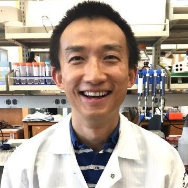 Gu, Wen smiles in a UCLA lab.