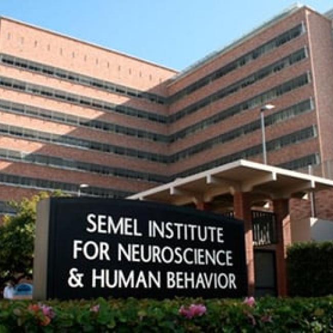 An exterior shot of the Semel Institute of Neuroscience and Human Behavior at UCLA. 