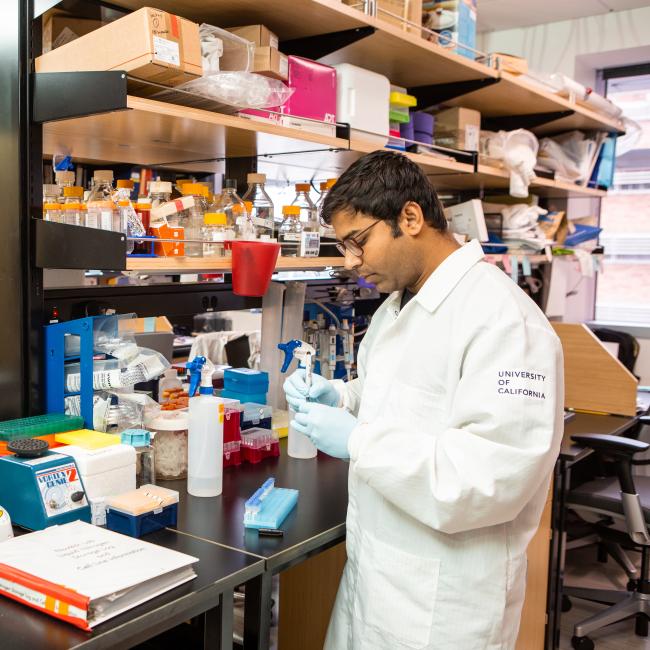 Two researchers at work in a UCLA lab wide shot 