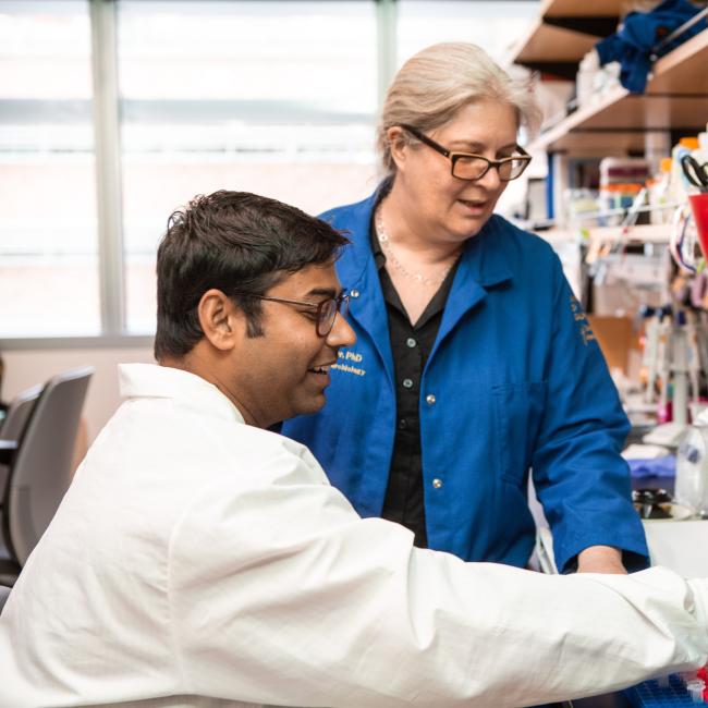 Trainee Sandeep Gupta works on stem cell research in UCLA faculty member Samantha Butler’s lab. 