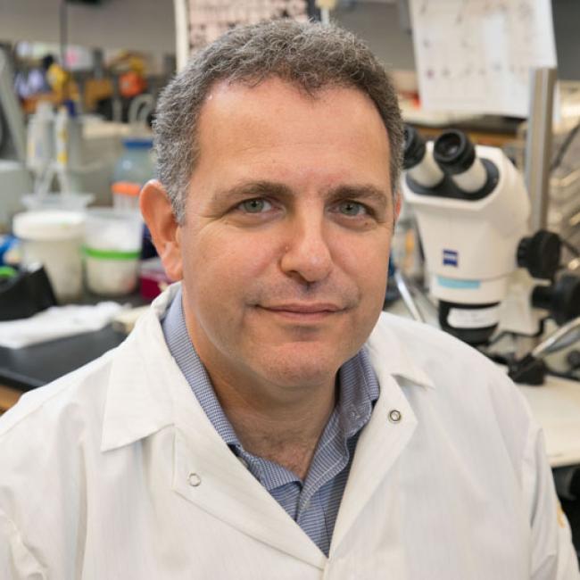 Ben Novitch Headshot