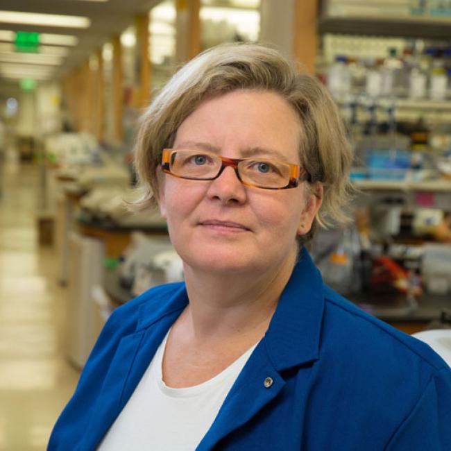 Kathrin Plath Headshot