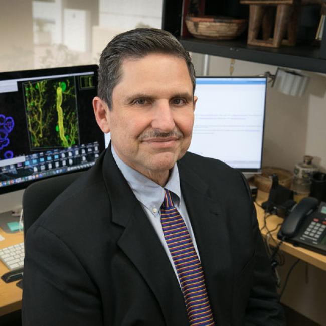Martin Martin sits at his desk and smiles for a photograph. 