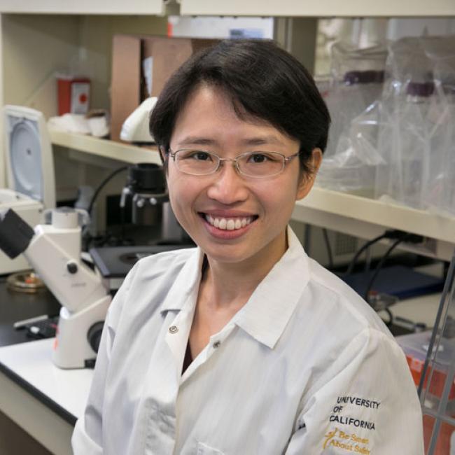 Yvonne Chen in the lab.